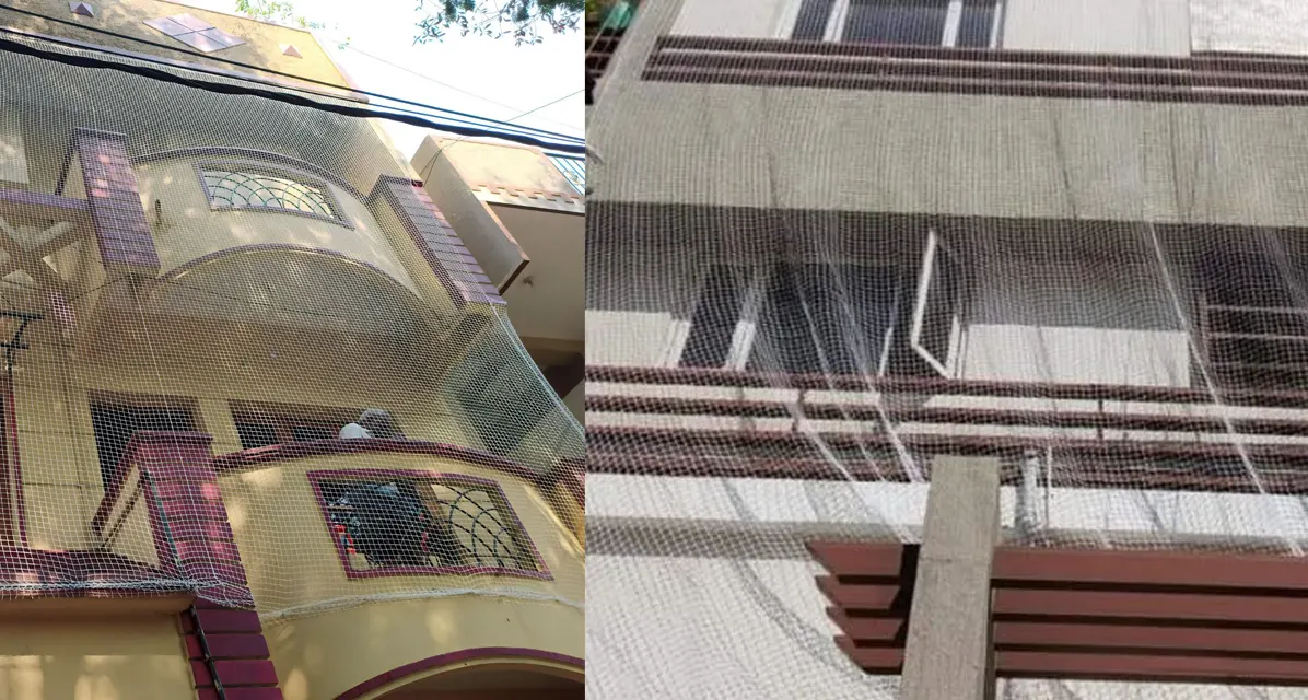 Building Safety Nets