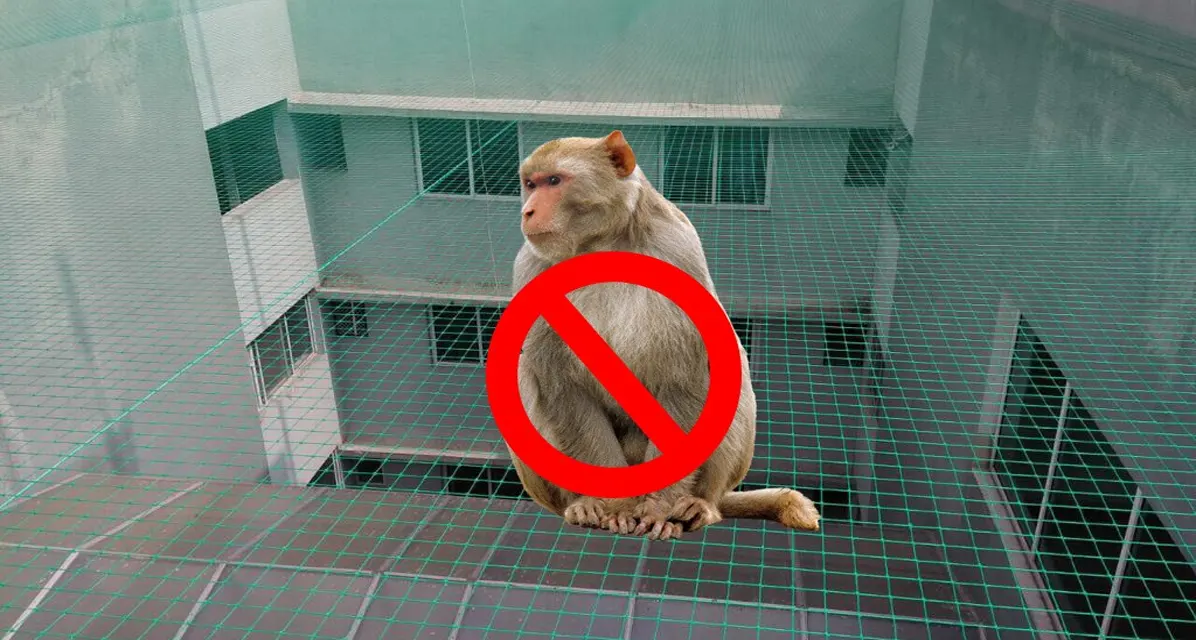 Monkey Net for Balconies