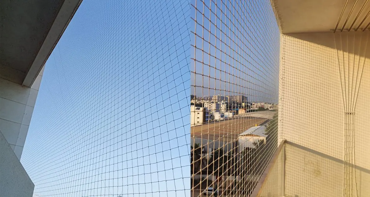 Sparrow Protection Nets